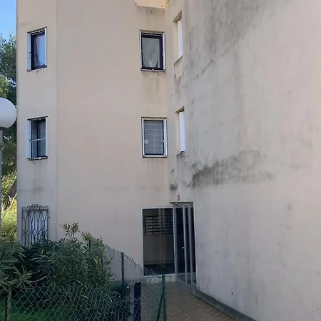 T2 2 Etoiles, Parking Prive, Proche Thermes Et Etang, Clim, Wi-fi, Animaux Acceptes - Fr-1-571-15 *