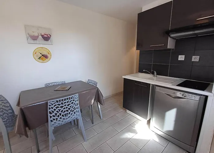 T2 2 Etoiles, Parking Prive, Proche Thermes Et Etang, Clim, Wi-fi, Animaux Acceptes - Fr-1-571-15 Appartement Balaruc-les-Bains