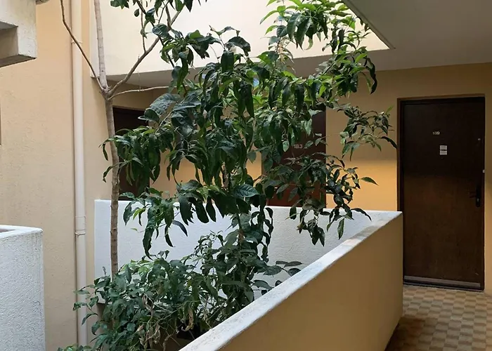 T2 2 Etoiles, Parking Prive, Proche Thermes Et Etang, Clim, Wi-fi, Animaux Acceptes - Fr-1-571-15 *