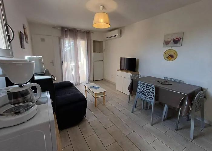 T2 2 Etoiles, Parking Prive, Proche Thermes Et Etang, Clim, Wi-fi, Animaux Acceptes - Fr-1-571-15
