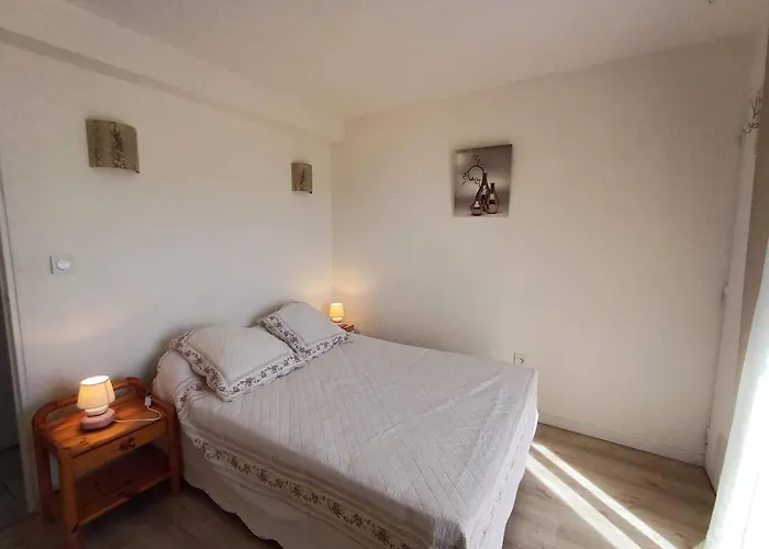 T2 2 Etoiles, Parking Prive, Proche Thermes Et Etang, Clim, Wi-fi, Animaux Acceptes - Fr-1-571-15 Appartement
