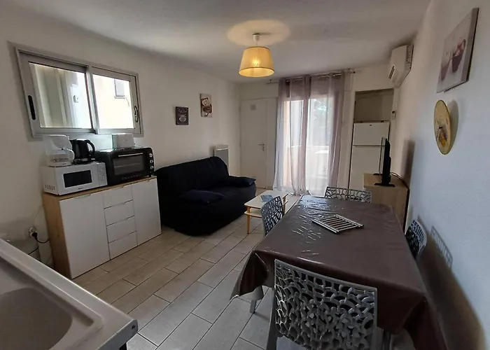 T2 2 Etoiles, Parking Prive, Proche Thermes Et Etang, Clim, Wi-fi, Animaux Acceptes - Fr-1-571-15 Appartement *